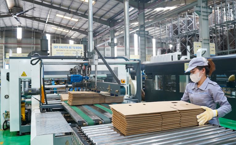 2-nha-may-bao-bi-carton