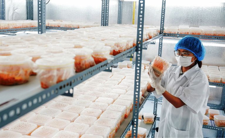 cong-ty-trong-che-bien-thao-duoc