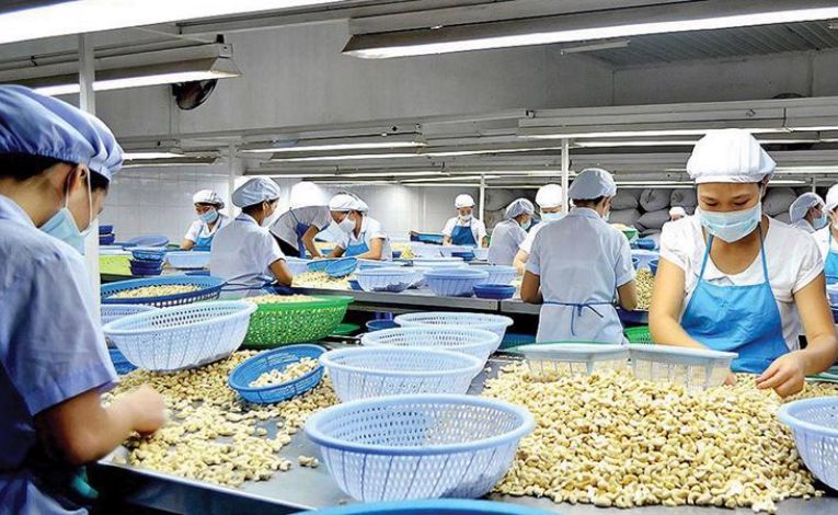 nha-may-che-bien-hat-dieu